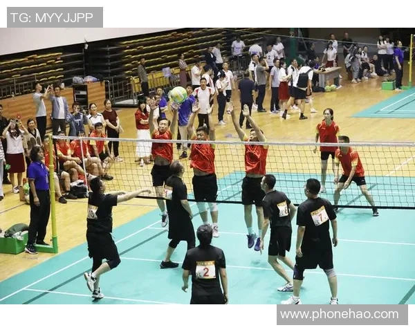 杭州排球队的奋斗历程：一段不屈不挠的排球精神之旅